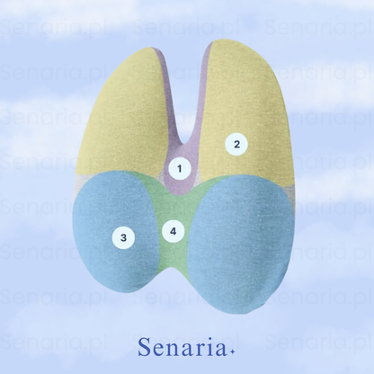 OrtoLumb - Bederní polštář